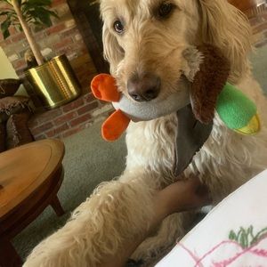 Meet your Posher, Deanna